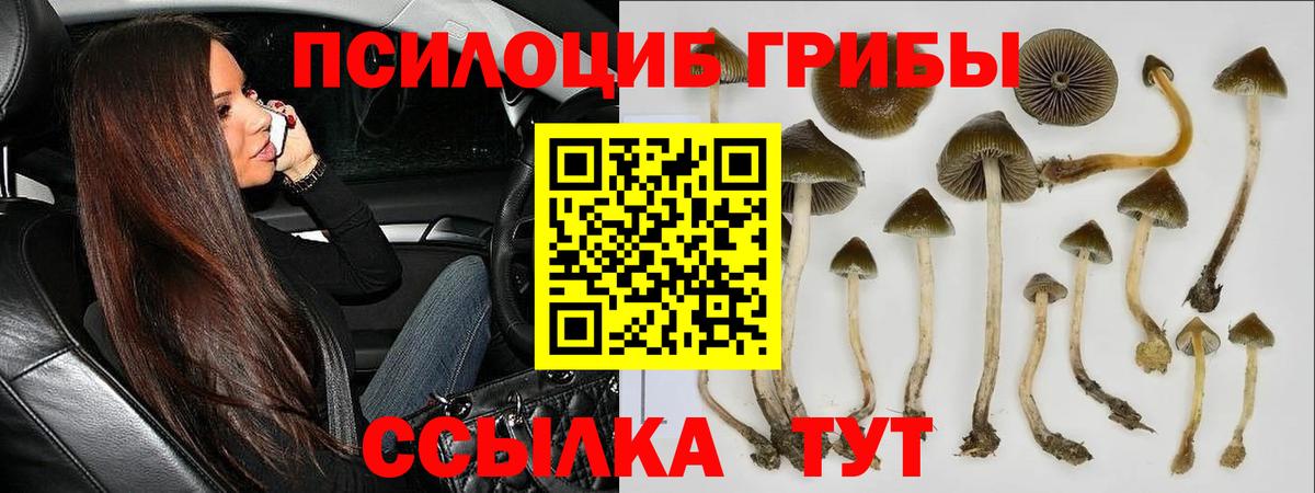 Уварово  Галлюциногенные грибы мицелий  Вход с VPN 