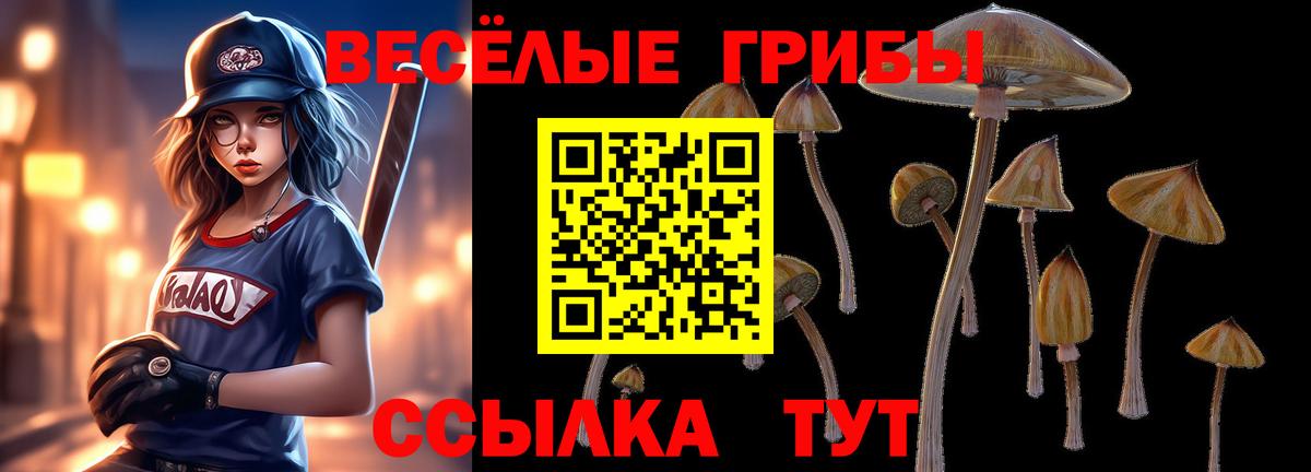 Псилоцибиновые грибы GOLDEN TEACHER Уварово